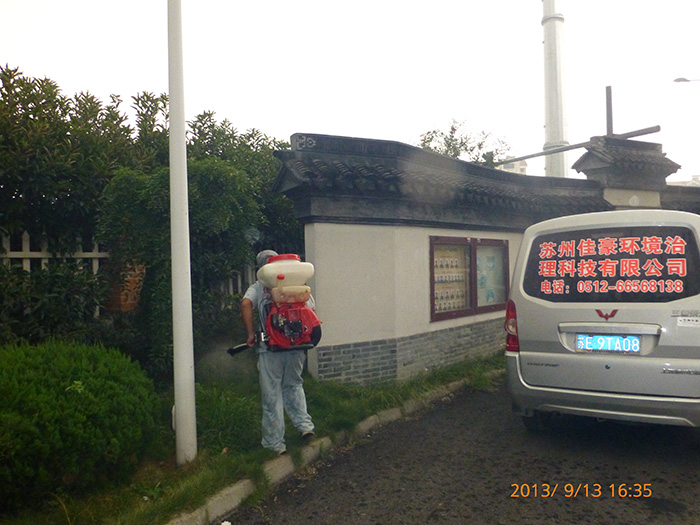 GYT 高檔塑料撲克牌 磨砂 橋牌